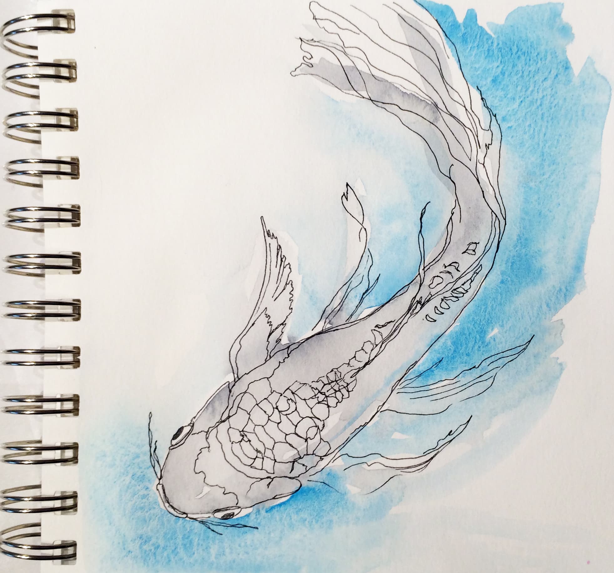 Скетчбук для рисования с рыбками